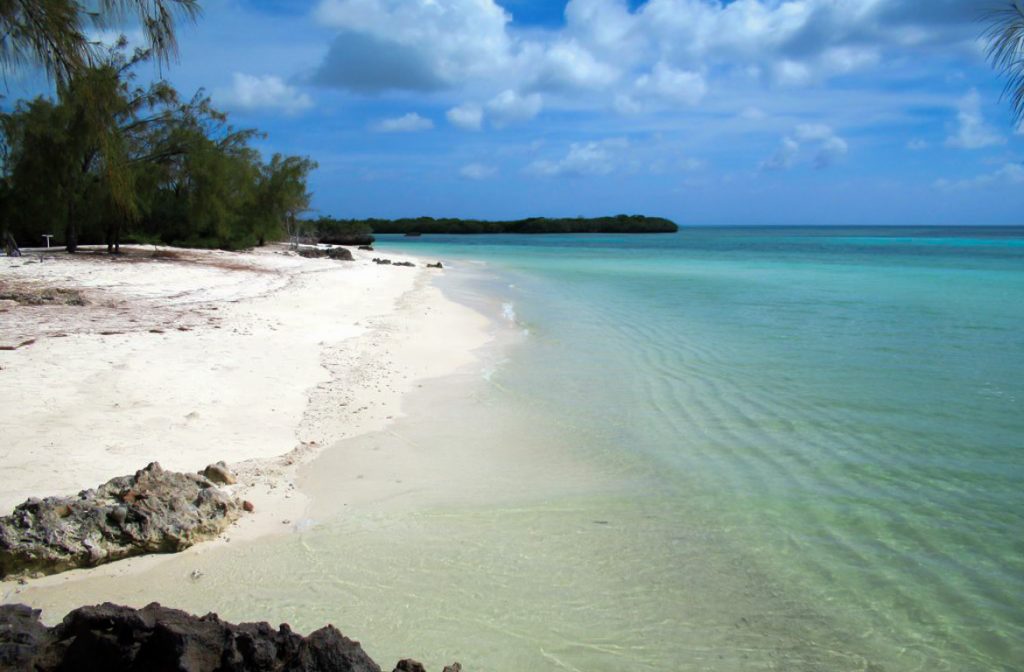 Praia Aldabra, na Ilha Picard, Seychelles