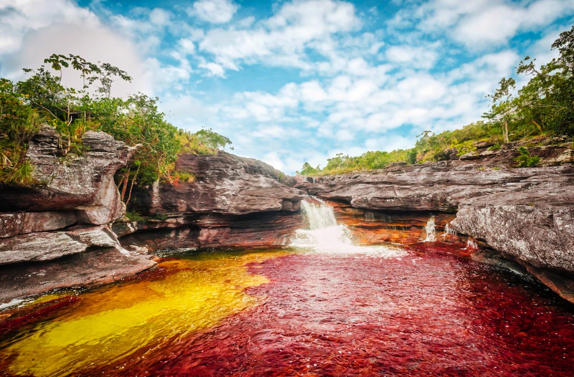 Caño Cristales, na Colômbia