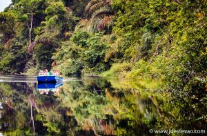 Os canais e a floresta do Parque Nacional do Tortuguero, na Costa Rica