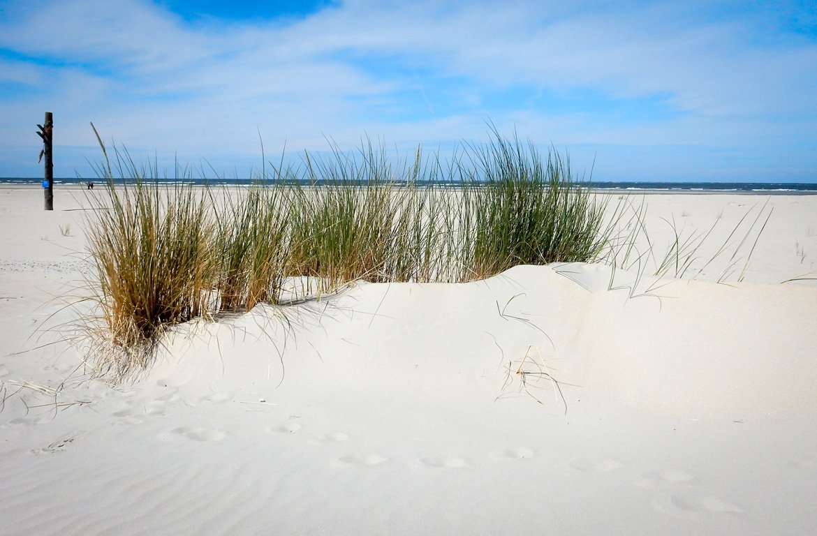 Dunas de areia nas Ilhas Frísia, Holanda