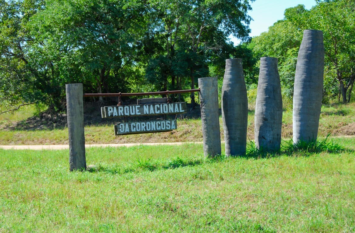 entrada-parque-nacional-gorongosa-mocambique-web-1170-768 Entrada do Parque Nacional da Gorongosa, em Moçambique