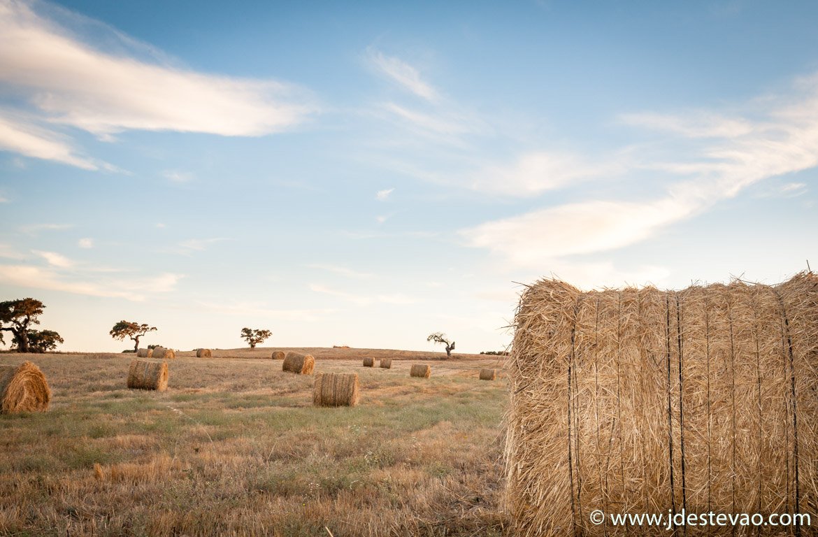 Fardos de palha no Alentejo, o celeiro de Portugal