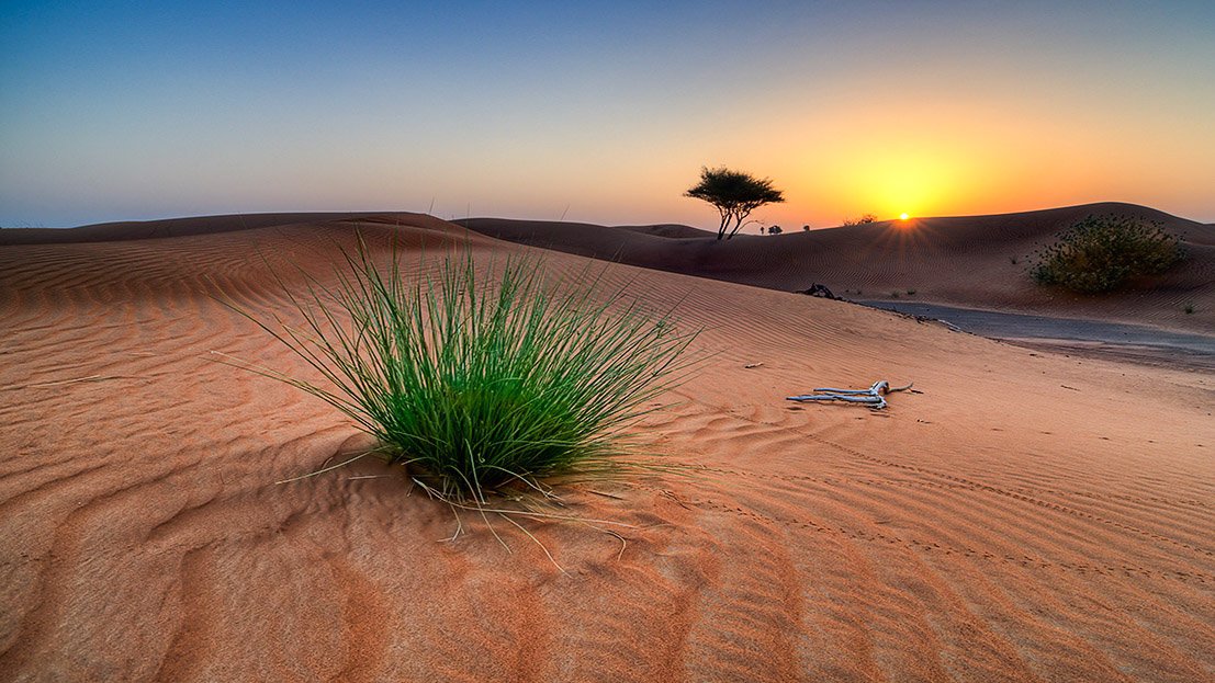 Nascer do sol no deserto do Kalahari, Botswana.