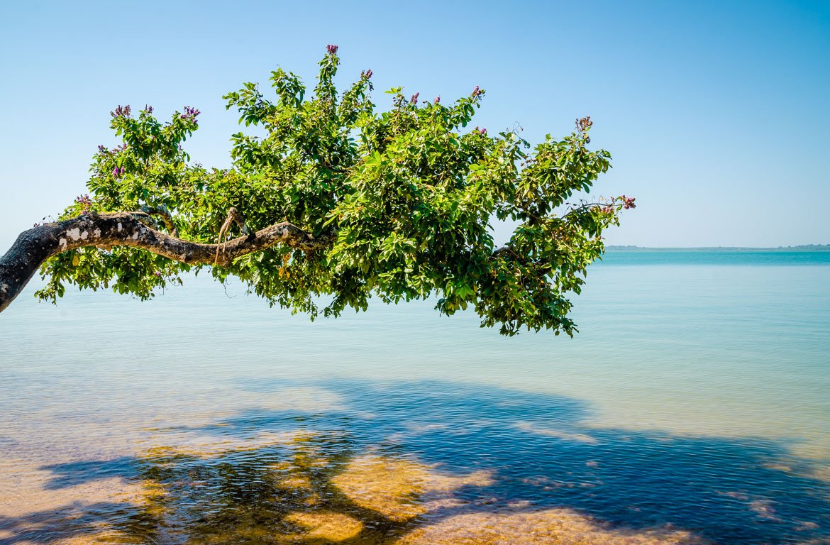 Praia no Arquipélago das Bijagós, Guiné-Bissau.