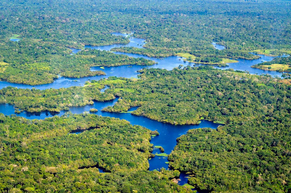 Vista aérea da floresta da Amazónia, Brasil