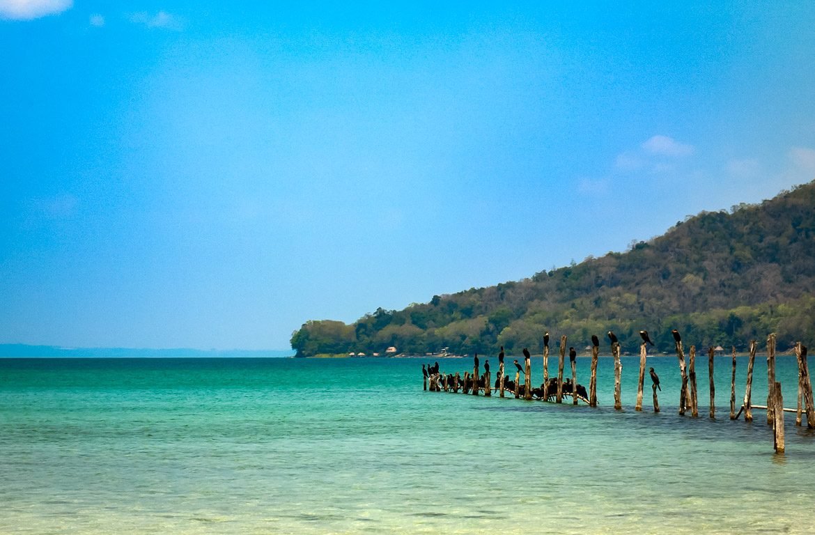 Pássaros no cais, no Lago Petén Itzá, na Guatemala