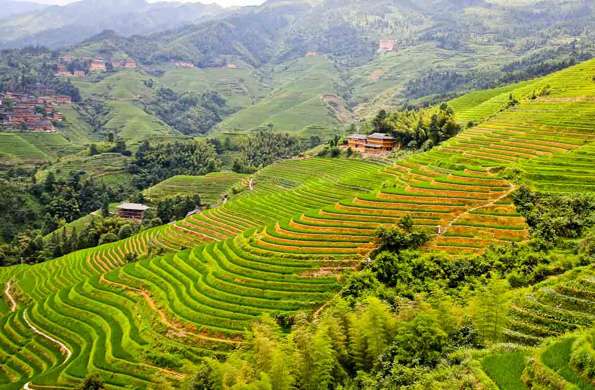 campos-arroz-longji-Guangxi-china-2-1170-768 campos-arroz-longji-Guangxi-china-2-1170-768