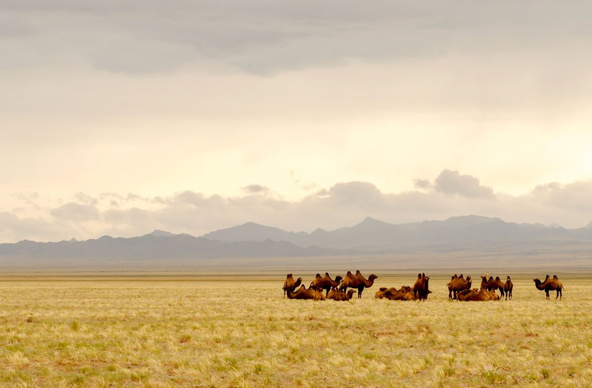 deserto-gobi-mongolia-3-1170-768