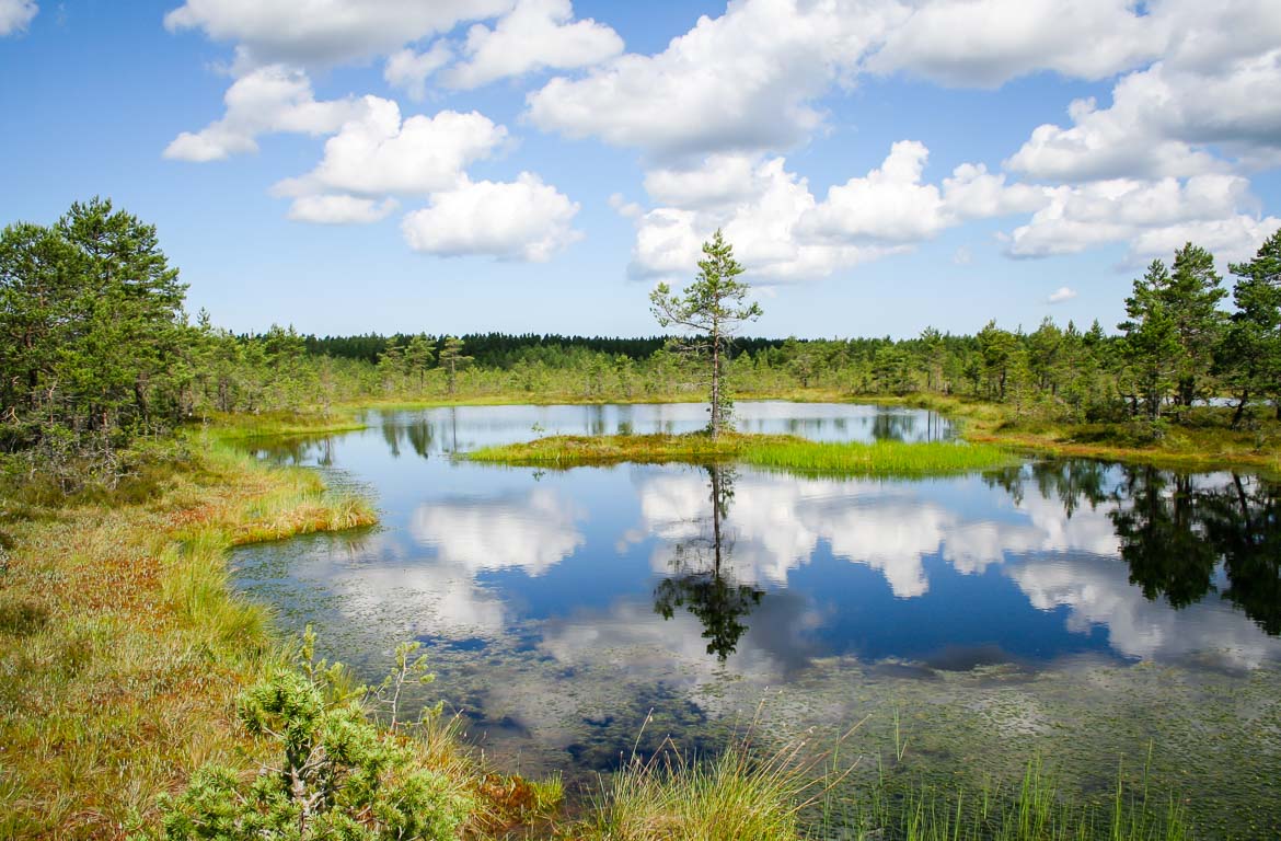 Parque Nacional de Lahemaa, Estónia
