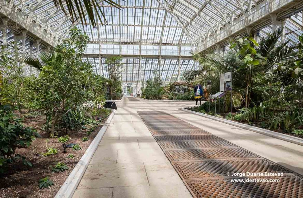 Temperate House, nos Kew Gardens