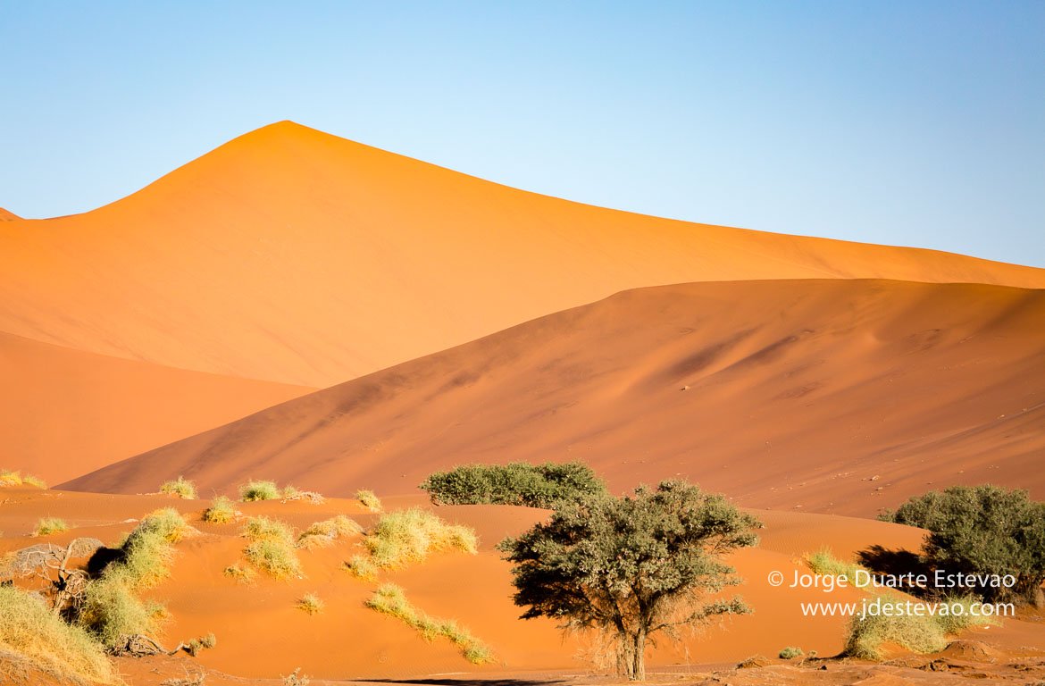 Dunas de Sossusvlei, Namibia