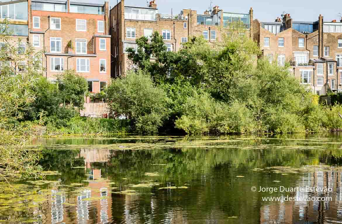 Hampstead Heath, Londres