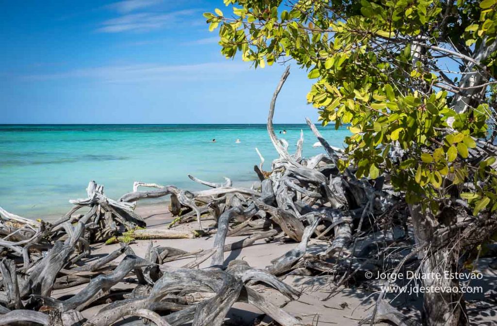 Praia em Cayo Jutias, Cuba