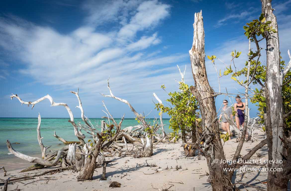 Turistas na praia em Cayo Jutias, Cuba