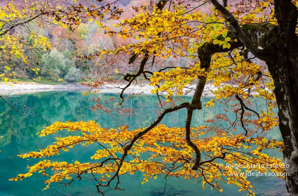 Parque Nacional Biogradska Gora