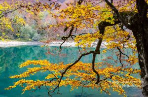 Parque Nacional Biogradska Gora
