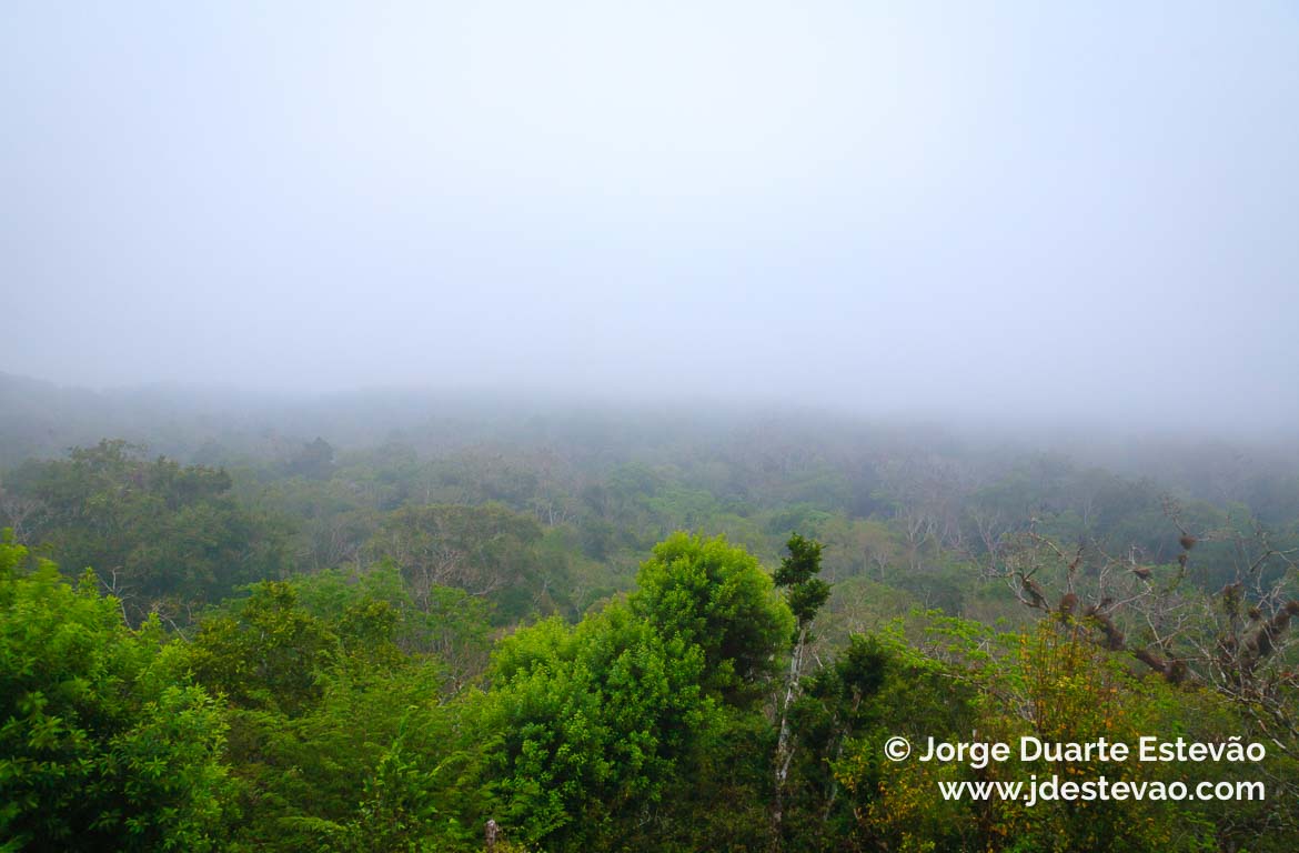 Ruínas Maia de Tikal, Petén Guatemala