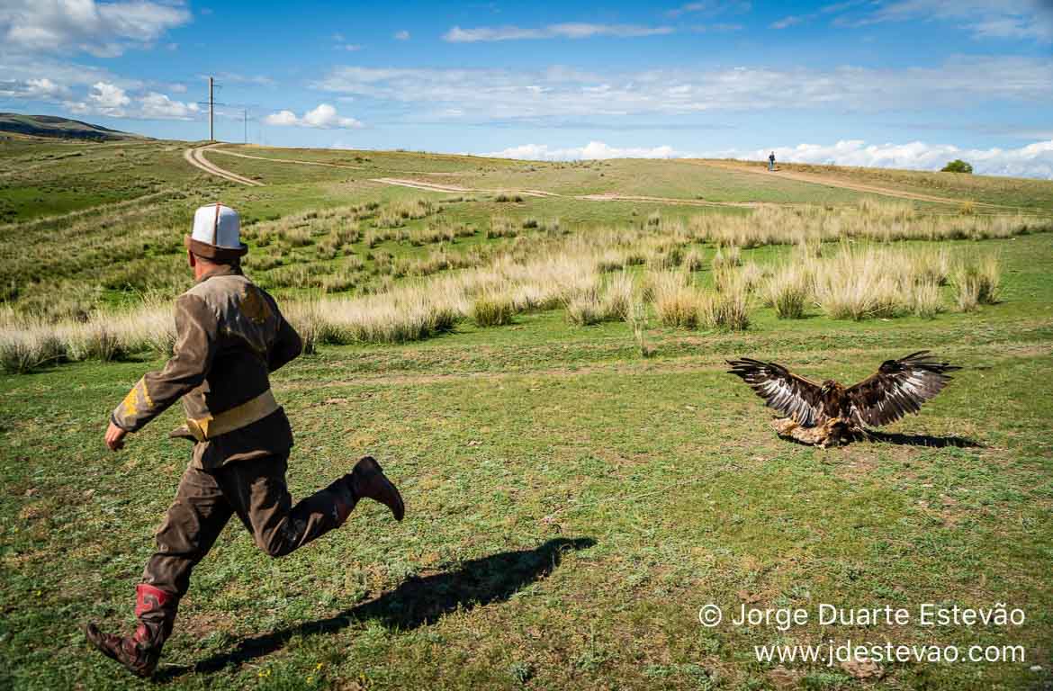 Caça com águia, Quirguistão, Ásia Central