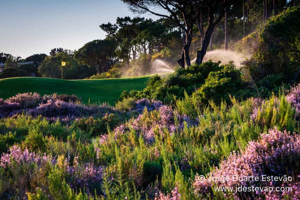 Campos de golfes da Quinta do Lago, Algarve