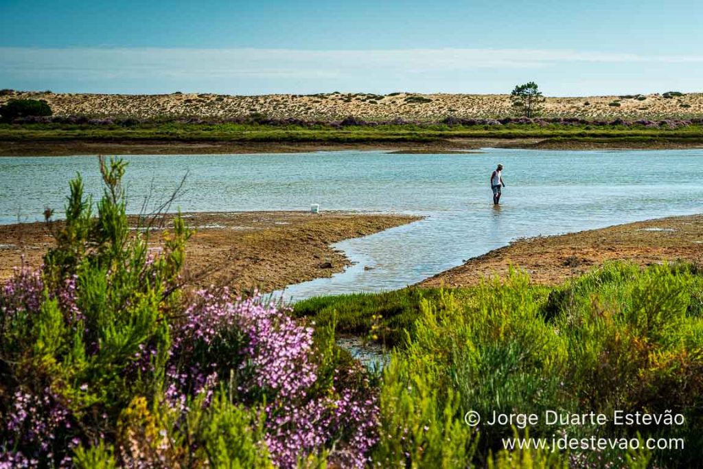 Pescador na Ria Formosa, Algarve