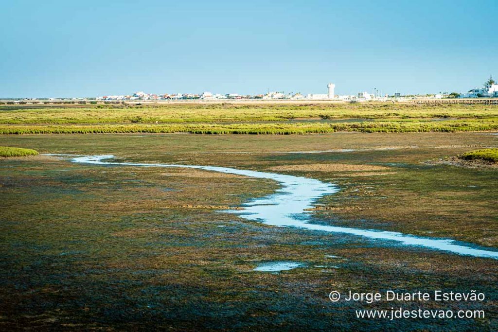 Ria Formosa, Algarve