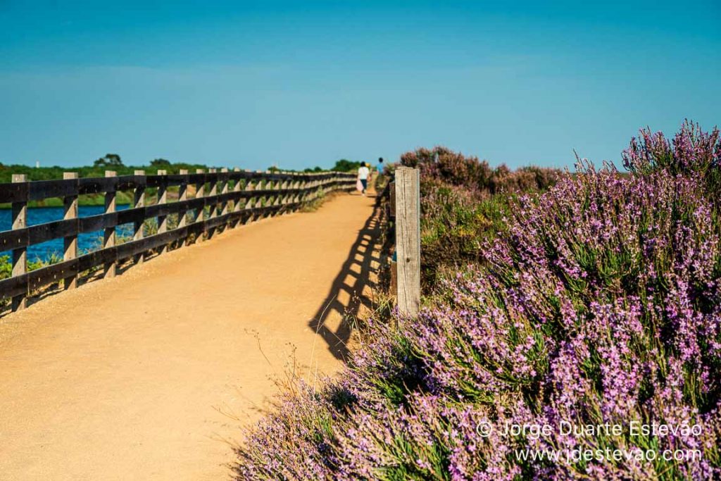 Trilho de São Lourenço, Quinta do Lago, Algarve