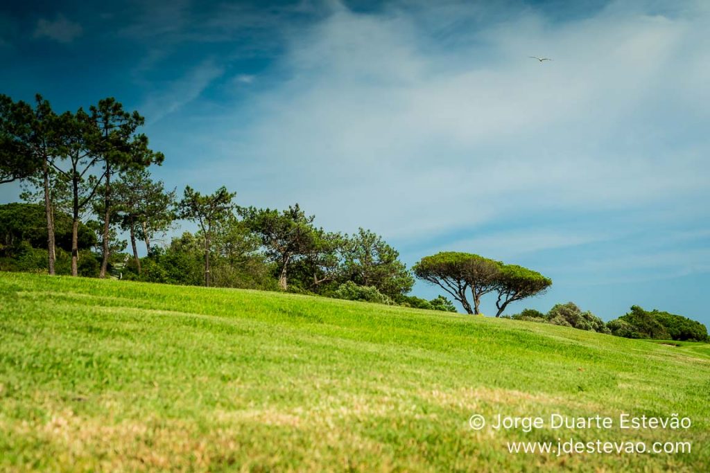 Quinta do Lago, Algarve