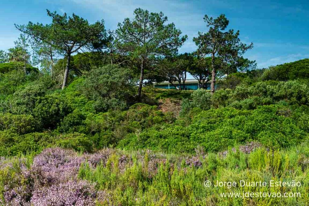 Trilho de São Lourenço, Quinta do Lago, Algarve