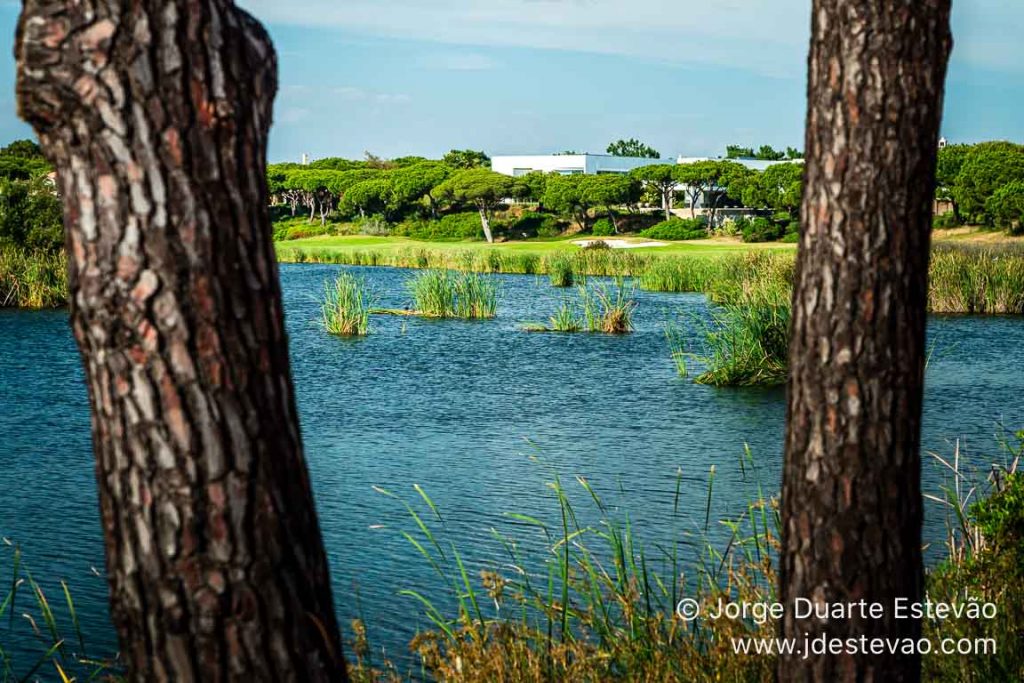 Quinta do Lago, Algarve