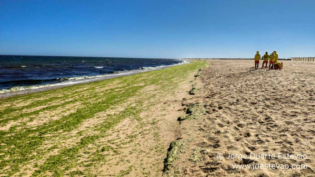 Praia da ilha de Tavira