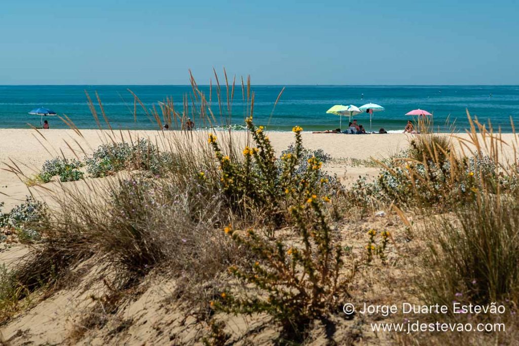 Praia de Santo António, VRSA, Algarve