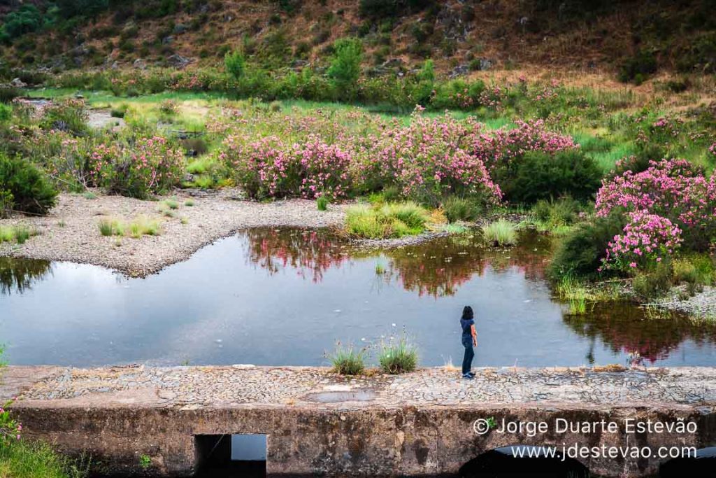 Ribeira do Vascão, Mértola