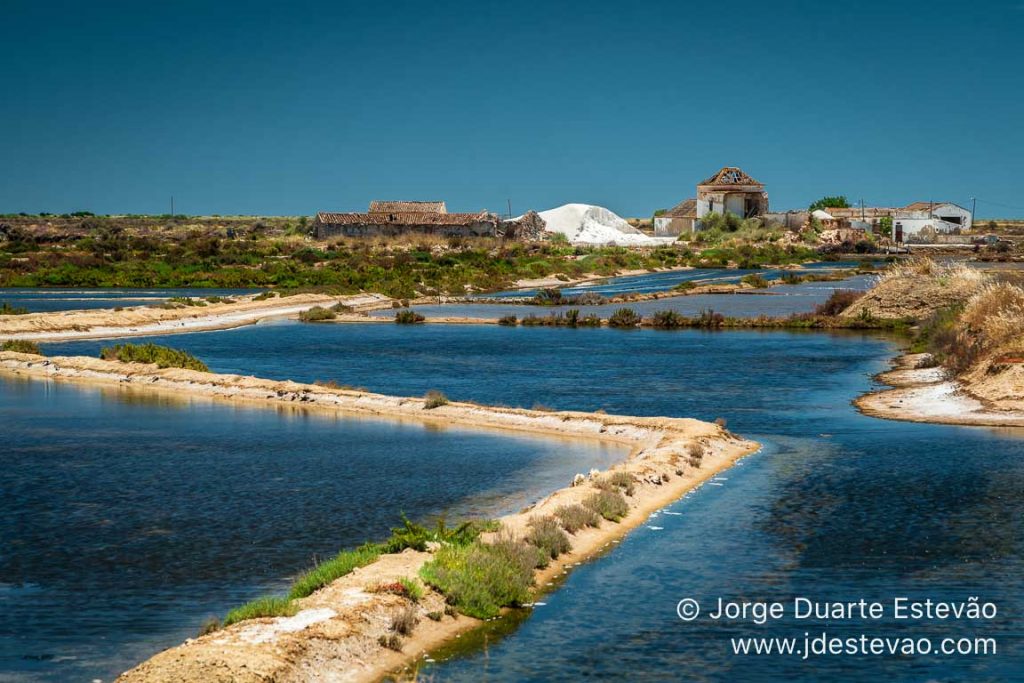 Salinas de Tavira