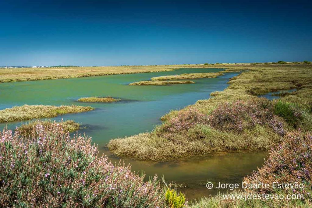 Ria Formosa, Santa Luzia, Algarve