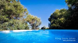 Piscina exterior no Villa Lobos, Tavira.