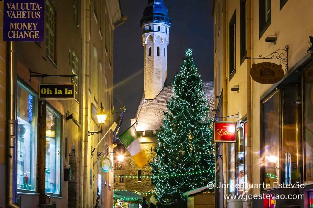 Árvore de Natal ,Tallinn, Estónia