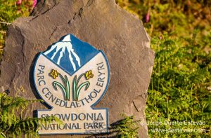 Placa Snowdonia, País de Gales