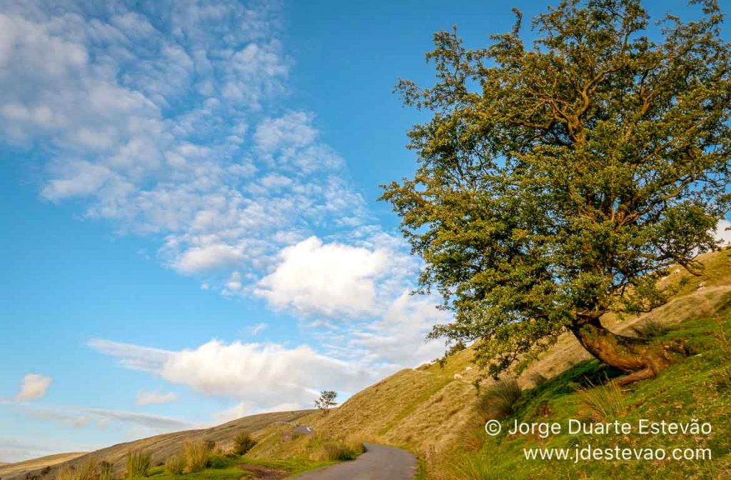 Road-trip, Gales