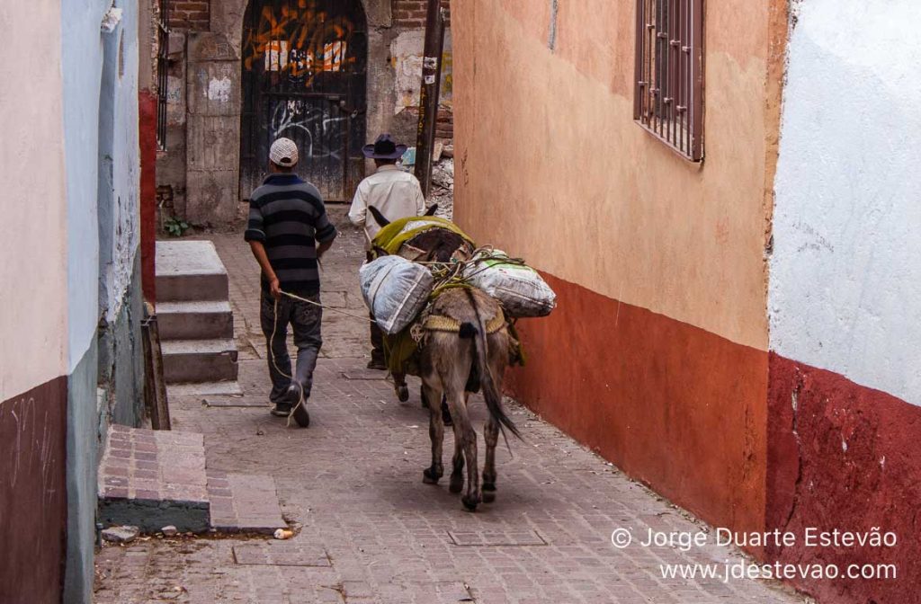 Burro a carregar sacas, em Guanajuato, no México
