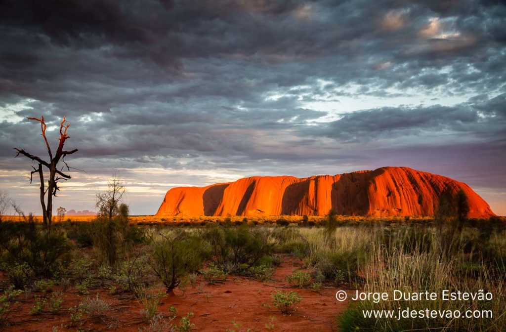 Nascer do sol no Uluru, Red Desert, Austrália