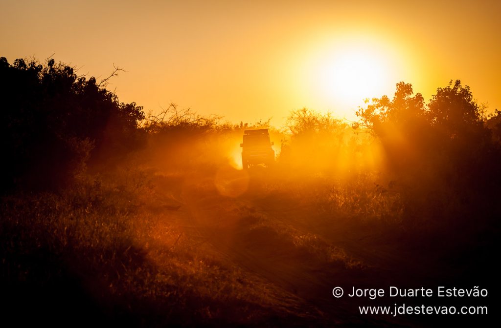 Pôr-do-sol no Parque Nacional Chobe, Botswana