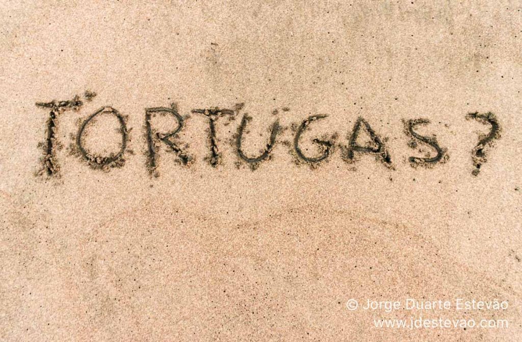 Tartarugas no Tortuguero, Costa Rica