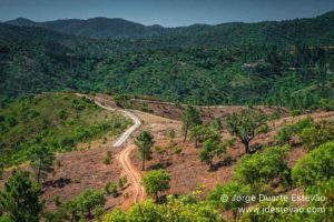 Caminho pedestre da Serra do Caldeirão
