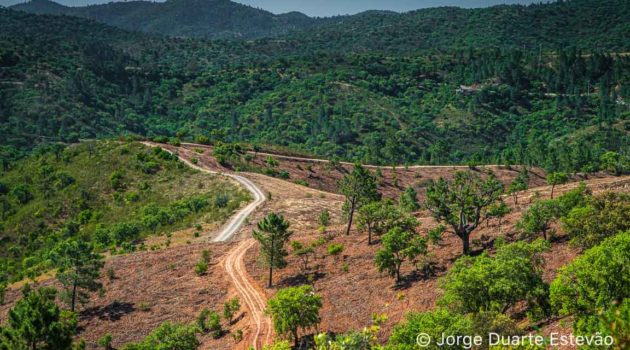 Caminho pedestre da Serra do Caldeirão