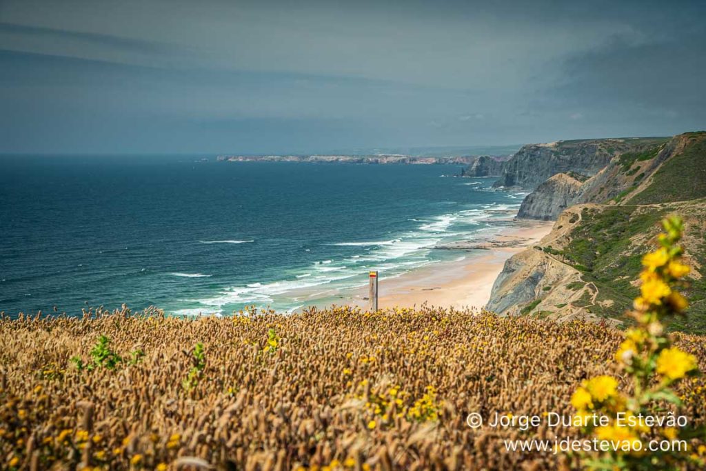 Praia da Cordoama, Vila do Bispo