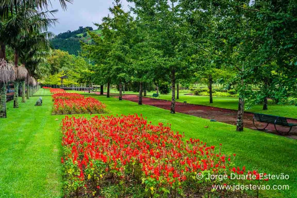 Parque Terra Nostra, São Miguel, Açores