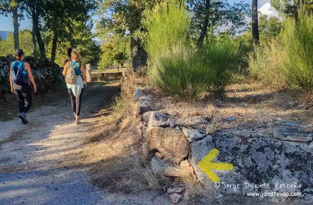 Peregrinos no Caminho Português de Santiago Interior