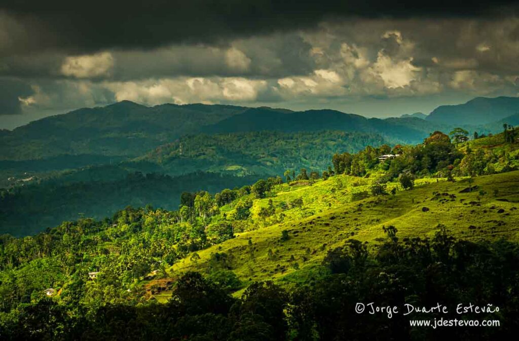 Paisagem exuberante da Floresta de Sinharaja, Sri Lanka, onde as montanhas verdes se estendem até ao horizonte, sob um céu carregado de nuvens.