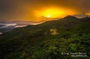 Nuvens baixas e um sol dourado, ao pôr-do-sol, emolduram a Floresta de Sinharaja, um tesouro natural do Sri Lanka.