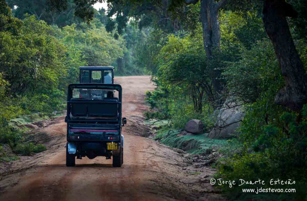 Veículo de safari a percorrer uma estrada de terra batida no Parque Nacional Yala, Sri Lanka.